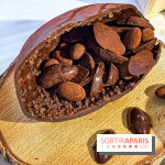 Les chocolats de Pâques 2025 des Galeries Lafayette Le Gourmet - image00008