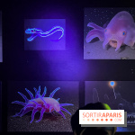 Digital Abysses au musée en Herbe - nos photos - 75DC5D6A 1C62 4583 B62A 02535EB14982