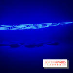 Into The Light, une exposition lumineuse à la Grande Halle de la Villette - IMG 8520