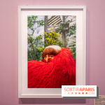 Exposition Le Paris d'Agnès Varda au Musée Carnavalet