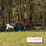 La Ferme de l’Abbaye des Vaux de Cernay : l'hôtel de charme en pleine nature dans les Yvelines - photos