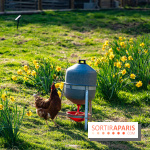 La Ferme de l’Abbaye des Vaux de Cernay : l'hôtel de charme en pleine nature dans les Yvelines - photos