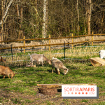 La Ferme de l’Abbaye des Vaux de Cernay : l'hôtel de charme en pleine nature dans les Yvelines - photos