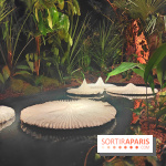 Mille et une vies : l'exposition gratuite et contemporaine se dévoile à l'Espace Monte-Cristo - fotor 1744999278089