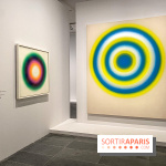 Dans le Flou, l'exposition dans le brouillard au Musée de l'Orangerie - IMG 5299