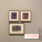 Dans le Flou, l'exposition dans le brouillard au Musée de l'Orangerie - IMG 5303