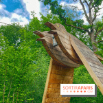 Mission Forêt