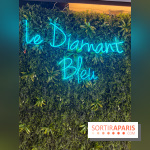 Brunch croisière à volonté sur la Seine – Le Diamant Bleu Paris
