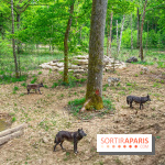 La Forêt des Loups