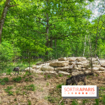 La Forêt des Loups
