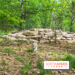 La Forêt des Loups