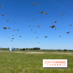 Festival de Cerfs-Volants à la Base 217 - IMG 2189