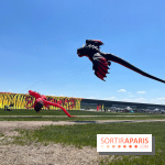 Festival de Cerfs-Volants à la Base 217 - IMG 2209