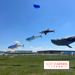 Festival de Cerfs-Volants à la Base 217 - IMG 2215