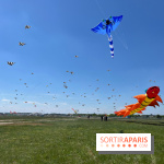 Festival de Cerfs-Volants à la Base 217 - IMG 2218