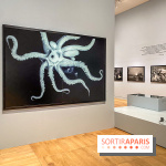 Jean Gaumy et la Mer : l'exposition maritime intimiste au Musée de la Marine