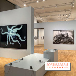 Jean Gaumy et la Mer : l'exposition maritime intimiste au Musée de la Marine - IMG 5478