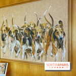 Collection dédié aux chiens