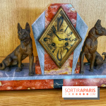Collection dédié aux chiens