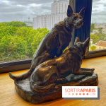 Collection dédié aux chiens