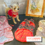 Collection dédié aux chiens