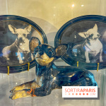 Collection dédié aux chiens
