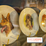 Collection dédié aux chiens