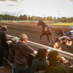Nocturnes Tropicales 2025 : des soirées open air aux ambiances tropicales à l'Hippodrome Paris-Vincennes - BVDV 20240524201314A06A7283