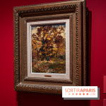 Exposition Van Gogh, les derniers voyages - photos - A7C08719