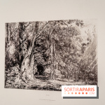 Exposition Van Gogh, les derniers voyages - photos - A7C08724