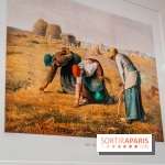 Exposition Van Gogh, les derniers voyages - photos - A7C08725