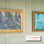 Exposition Van Gogh, les derniers voyages - photos - A7C08746