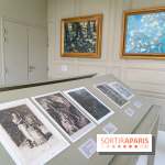 Exposition Van Gogh, les derniers voyages - photos - A7C08748