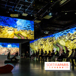 Exposition Van Gogh, les derniers voyages - photos