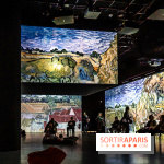 Exposition Van Gogh, les derniers voyages - photos - A7C08812