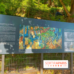 Encore plus d'Auvers-sur-Oise - IMG 2397