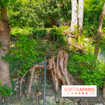 Encore plus d'Auvers-sur-Oise - IMG 2399