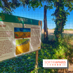 Encore plus d'Auvers-sur-Oise