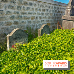 Encore plus d'Auvers-sur-Oise - IMG 2410