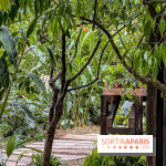 Jardins, Jardin 2025 : CHANEL dévoile son jardin parfumé & immersif au parc de la Villa Windsor - image00009