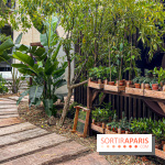 Jardins, Jardin 2025 : CHANEL dévoile son jardin parfumé & immersif au parc de la Villa Windsor - image00023