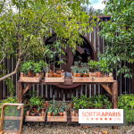 Jardins, Jardin 2025 : CHANEL dévoile son jardin parfumé & immersif au parc de la Villa Windsor - image00029