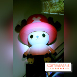 One Piece à l'Aquarium de Paris