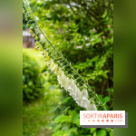 Les Jardins de Juliette à Elancourt