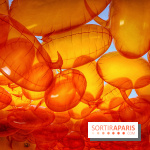 Euphoria - IMG 2730 2