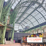 Grand Palais, visuels du monument parisien - fotor 1749119963565