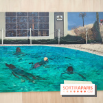 Horizontes : l'art contemporain brésilien s’invite au Grand Palais pour la Saison Brésil-France 2025 - fotor 1749119623008