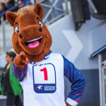 Un dimanche de folie à l’Hippodrome Paris-Vincennes  - BV 20240623132254BV1 8614