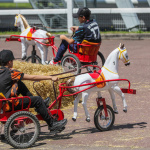 Un dimanche de folie à l’Hippodrome Paris-Vincennes  - BV 20240623132835BV1 8700