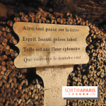 Les Catacombes de Paris - visuels  - fotor 1749245963208
